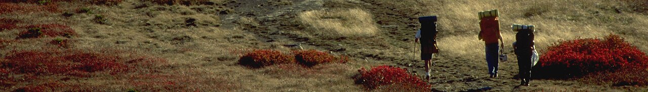 3. **Краснодарский край**: пляжи, санатории и горные курорты от Сочи до Анапы.